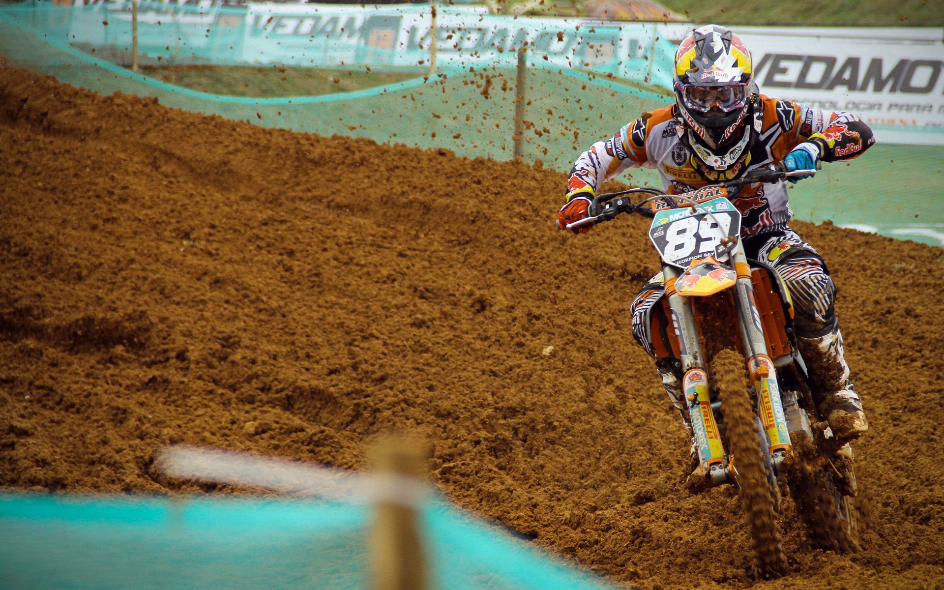 比利时马术协会与非洲马术协会开展技术援助项目,提升当地水平。