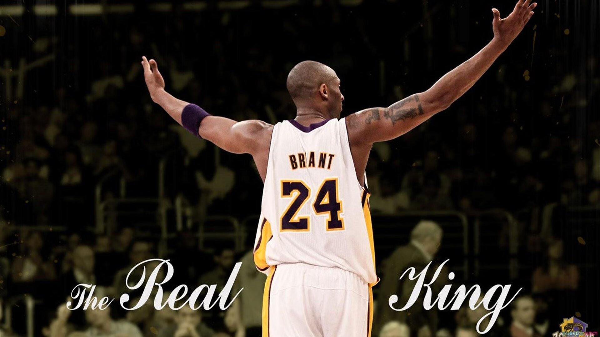 体育专题：世俱杯背后的商业价值与未来趋势，世俱杯的全称