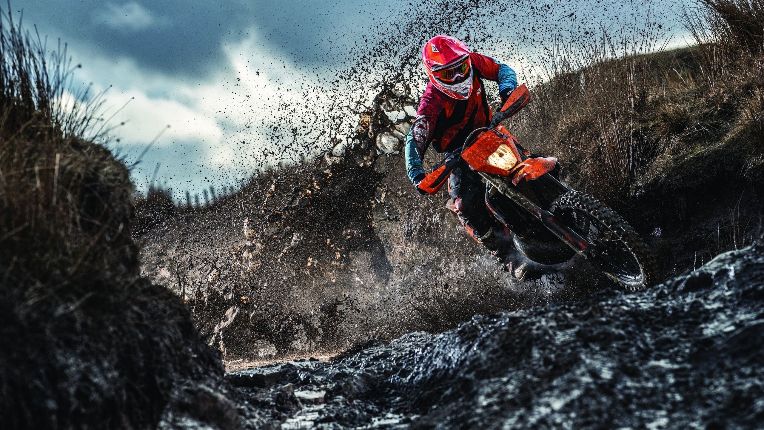 “虚拟比赛与云端管理：打造未来体育赛事的数字生态圈”，虚拟体育是什么意思